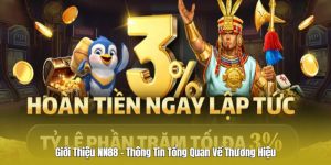 Giới thiệu Nn88 nhà cái uy tín