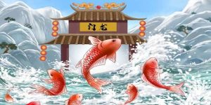 Giới thiệu tổng quan về trò chơi nổ hủ cá chép hóa rồng