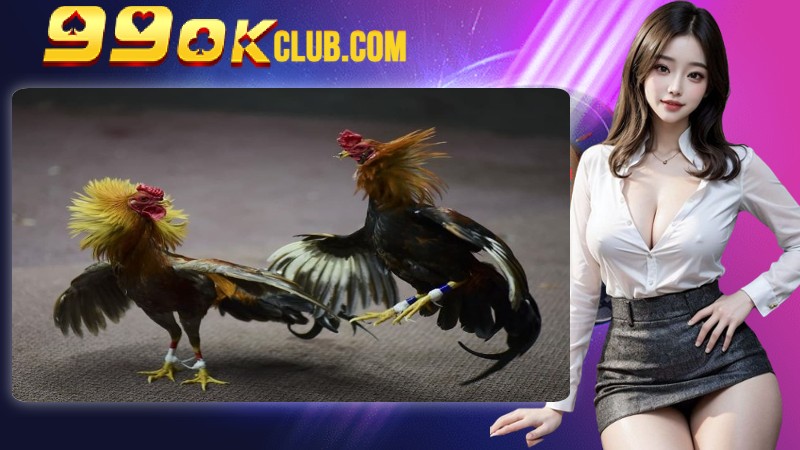 Cần đặt cược tiền một cách thông minh để không mất hết vốn